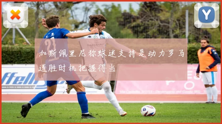 加斯佩里尼称球迷支持是动力罗马连胜时机把握得当
