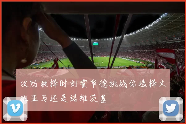 攻防抉择时刻霍华德挑战你选择文班亚马还是诺维茨基
